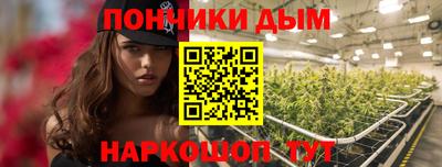 крисы Апшеронск
