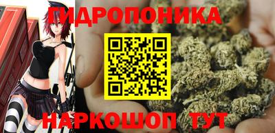 прущие грибы Апрелевка
