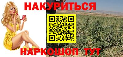 крисы Апшеронск