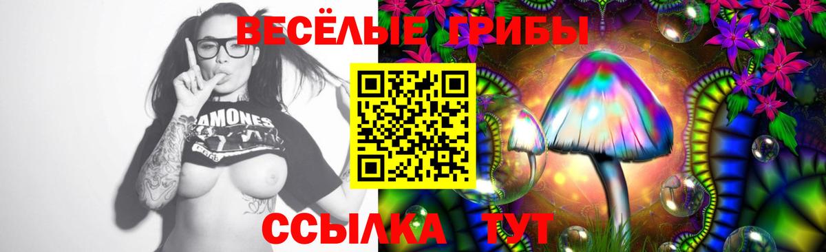 Галлюциногенные грибы Cubensis  Вход с VPN  Галлюциногенные грибы Psilocybine cubensis  Белорецк 